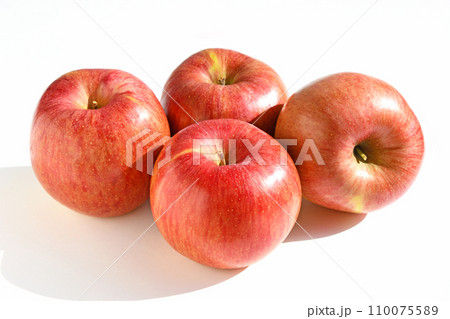 JP114069×ふじの写真素材 - PIXTA