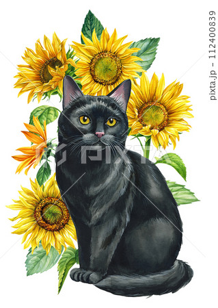 ねこ ネコ 猫 ひまわりのイラスト素材 - PIXTA ねこ ネコ 猫 ひまわりのイラスト素材 - PIXTA