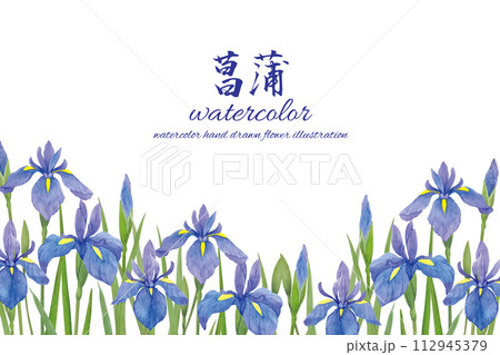 水彩 水彩画 菖蒲 花の写真素材 - PIXTA