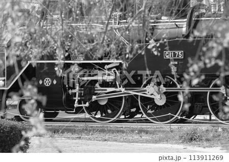 蒸機時代に憧れ白黒に10】D51498 | cavacho☆彡“きゃばちょこ”です。