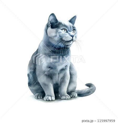 ロシアンブルー 猫 動物 水彩のイラスト素材 - PIXTA 