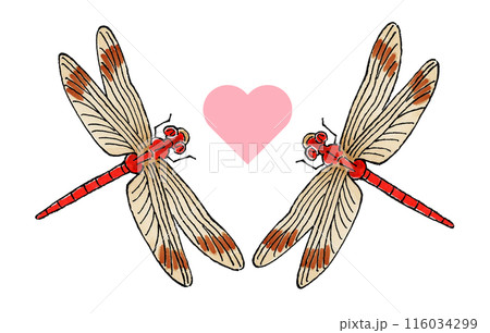 トンボ川蜻蛉のイラスト素材 - PIXTA
