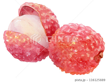 生ライチの写真素材 - PIXTA