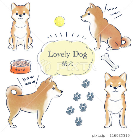 柴犬のイラスト素材(9,947点以上の高品質なイラスト素材) - PIXTA（ピクスタ）