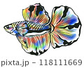 肉筆原画　ベタ　魚　熱帯魚　墨絵　ドローイング 肉筆原画 ベタ 魚 熱帯魚 墨絵 ドローイング