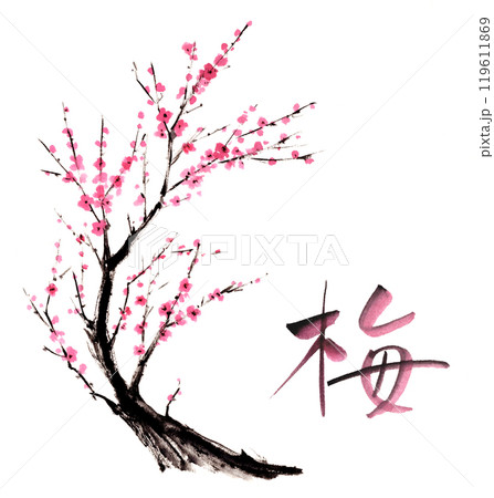 梅 梅の花 墨絵 水墨画の写真素材 - PIXTA