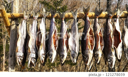 ポロト湖畔に誕生した素晴らしいウポポイ