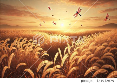 赤トンボ 夕日 夕暮れ 夕焼けの写真素材 - PIXTA