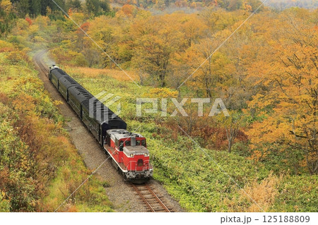 蒸気機関車 秋 紅葉 SLの写真素材 - PIXTA