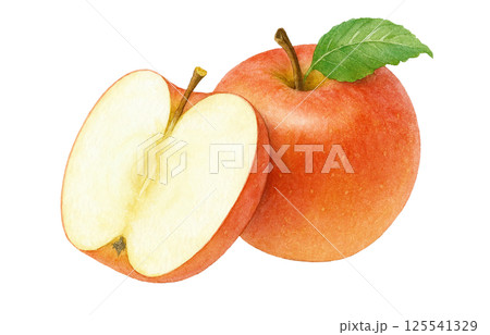 りんごの画像素材(212,754点以上の高品質な写真・イラスト素材