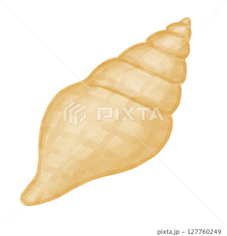 巻貝 貝 貝類 水彩のイラスト素材 - PIXTA
