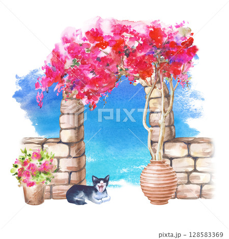 水彩画 ブーゲンビリア 花 水彩の写真素材 - PIXTA