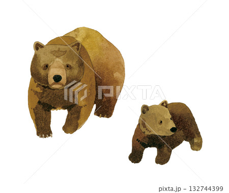 親子熊の写真素材 - PIXTA