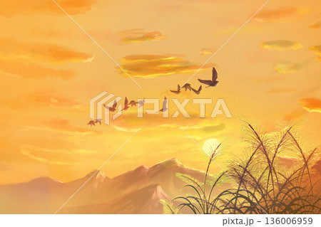 すすき 黄昏 秋 夕焼けのイラスト素材 - PIXTA