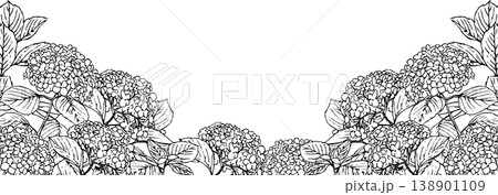 花 あじさい イラスト 白黒の写真素材 - PIXTA