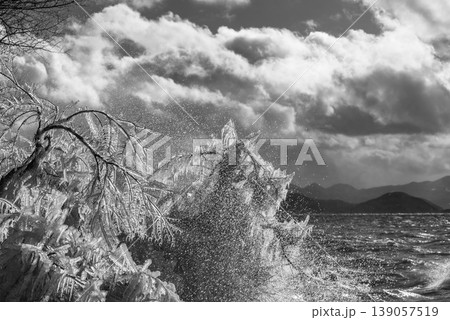 自然 風景 モノクロ 湖畔の写真素材 - PIXTA